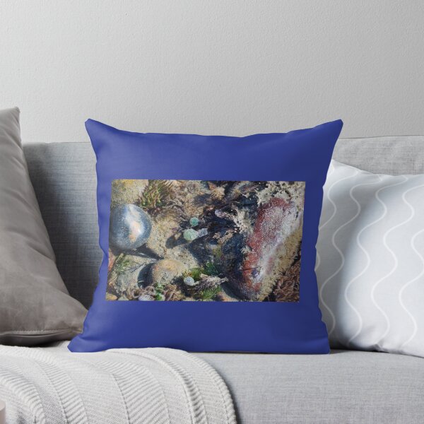 Item preview, Sea Mysteries uncovered by the tide at Lyme Dorset UK designed and sold by lynn carter.