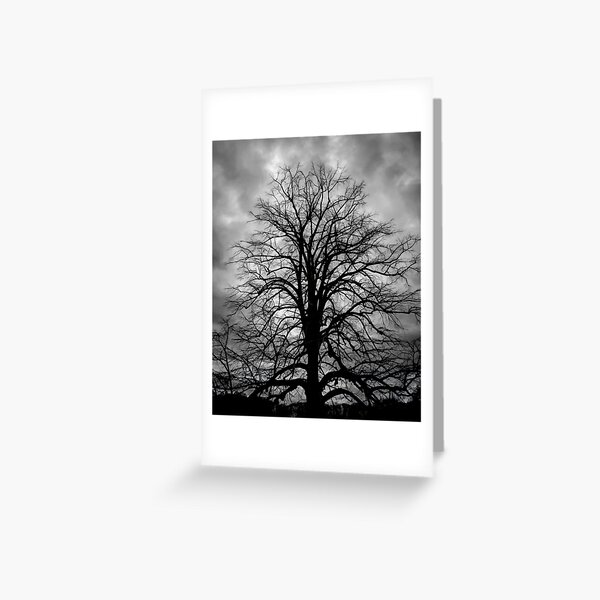 Tree Stance (view large) Greeting Card