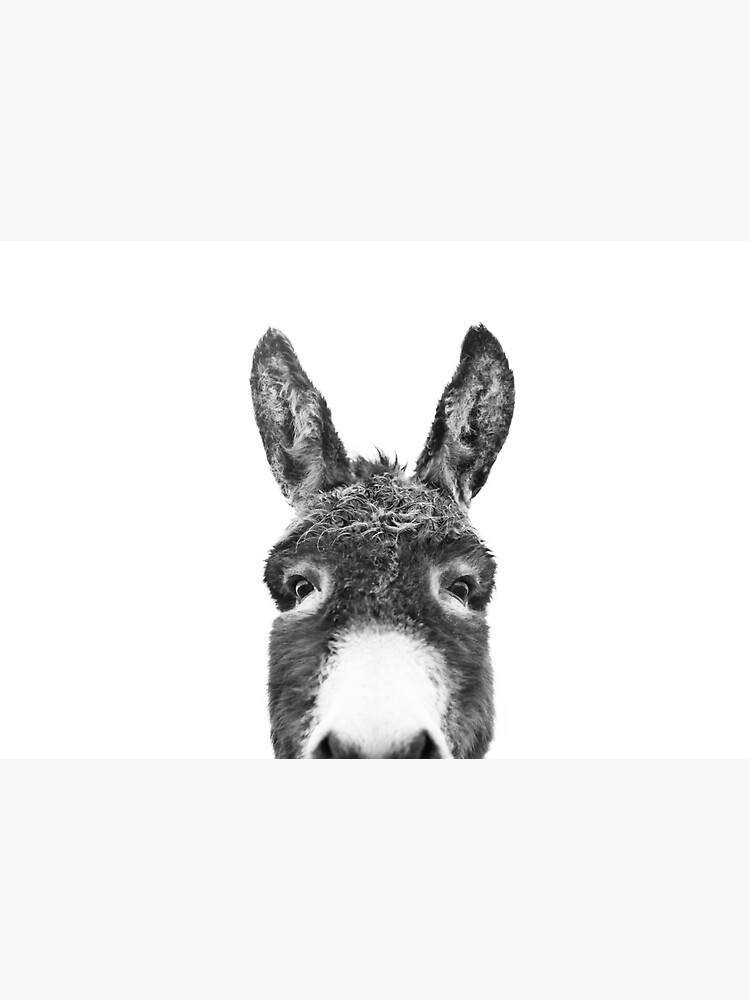 Peeking Donkey by sisiandseb