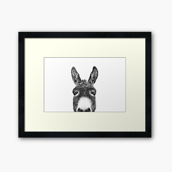 Peeking Donkey Framed Art Print