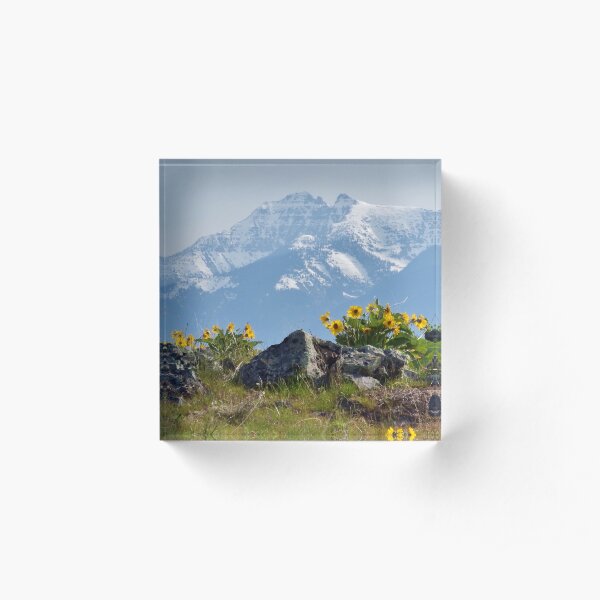 Mission Mountains Balsamroot Acrylic Block