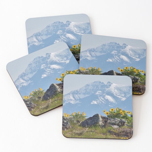 Mission Mountains Balsamroot Coasters (Set of 4)