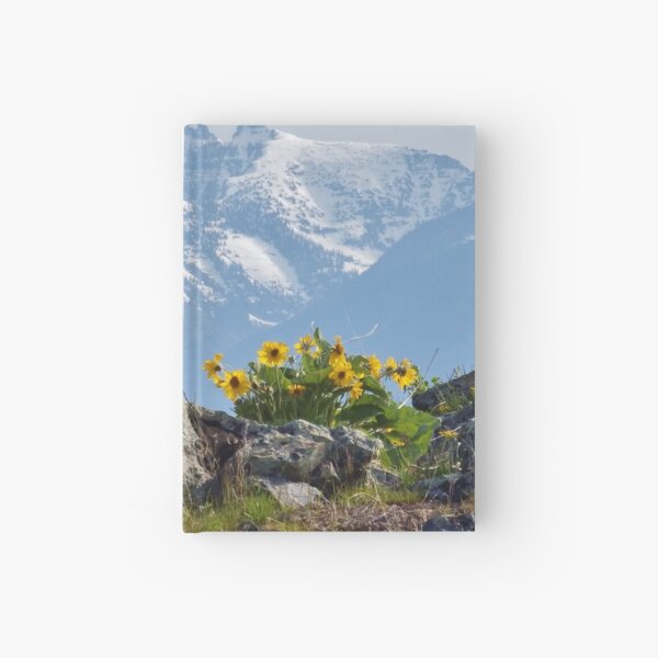 Mission Mountains Balsamroot Hardcover Journal