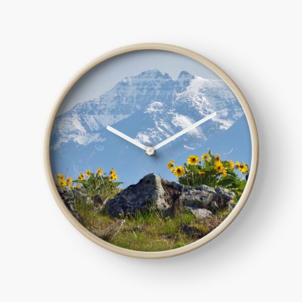 Mission Mountains Balsamroot Clock