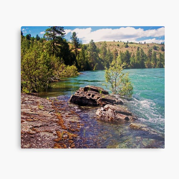 Lower Flathead River Metal Print