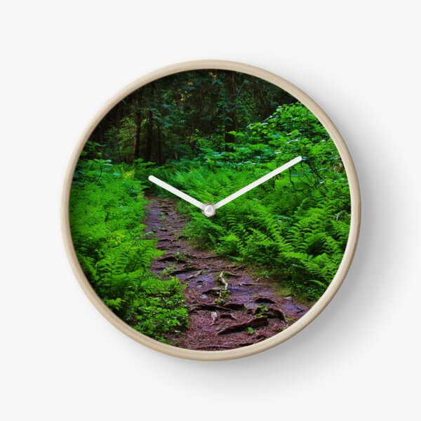 Path to the Old Cedars Clock