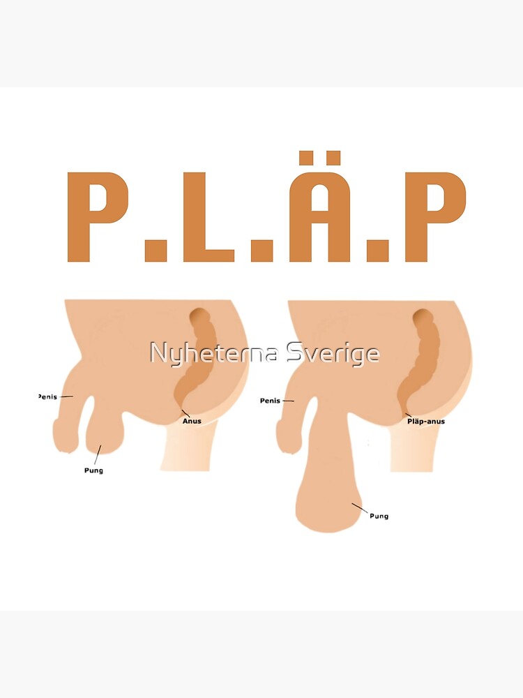 P.L.Ä.P by NyheternaSE