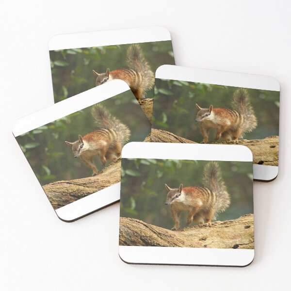 Item preview, Numbat designed and sold by Zoozwear Apparel.