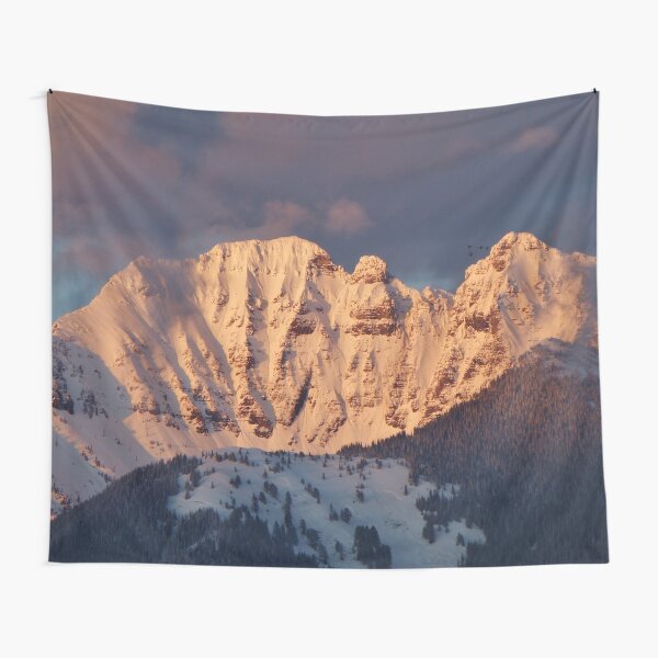 Snow Capped Missions Tapestry