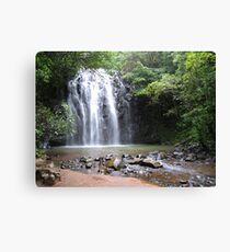 Elinjaa Falls Leinwanddruck
