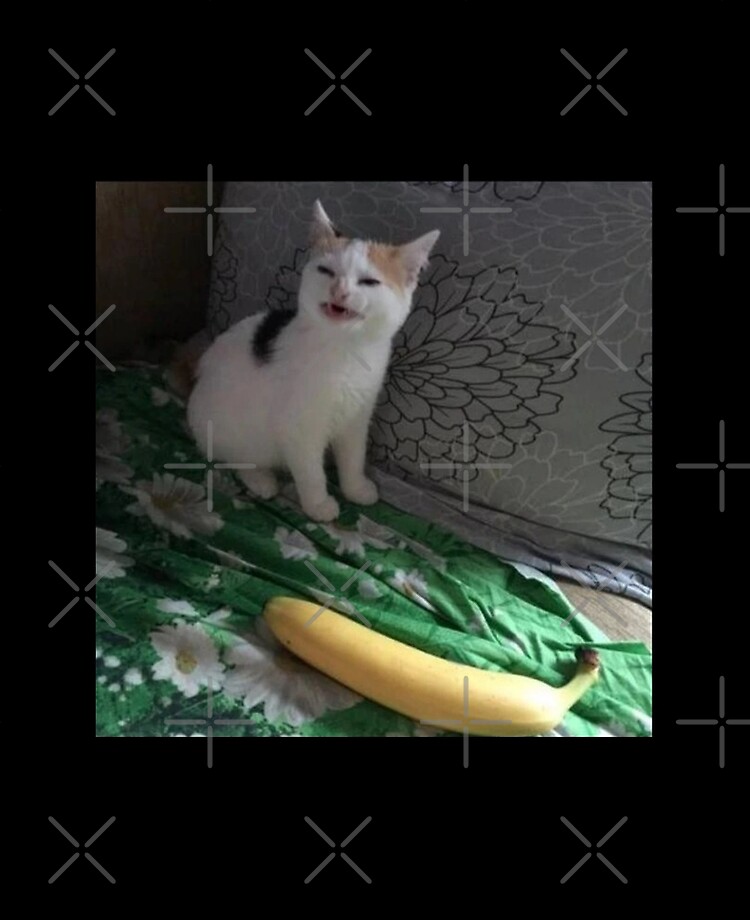 Cat No Banana Full Song