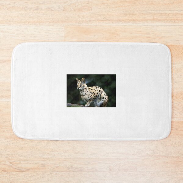 Item preview, Ocelot designed and sold by Zoozwear Apparel.