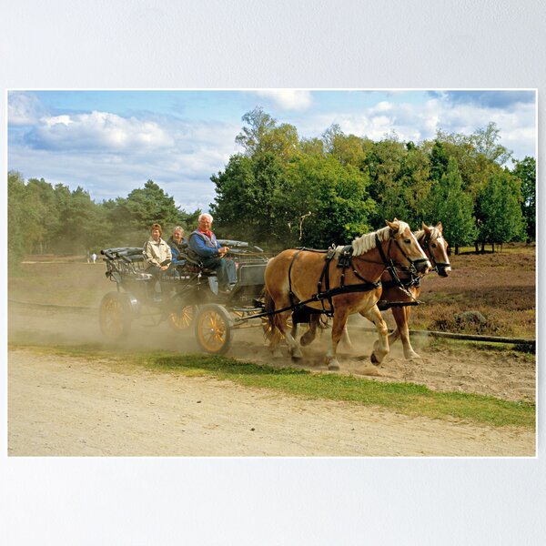 Item preview, Horse carriage on the Lüneburg Heath, Germany designed and sold by David A. L. Davies.