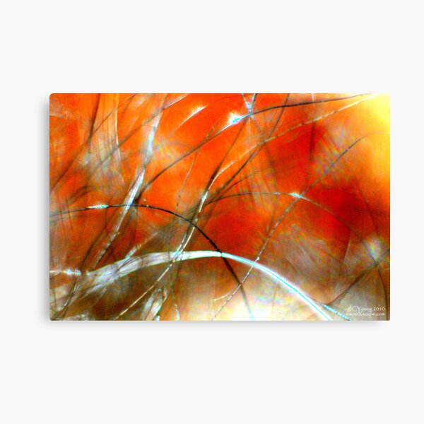 Distant Fire Canvas Print