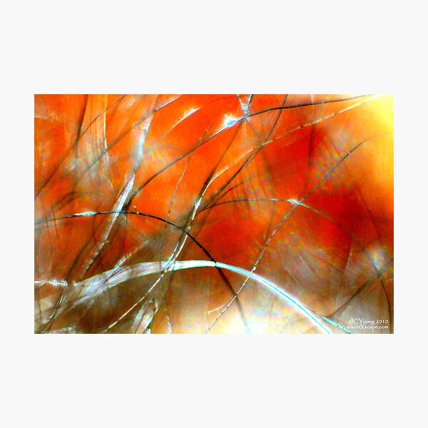 Distant Fire Photographic Print
