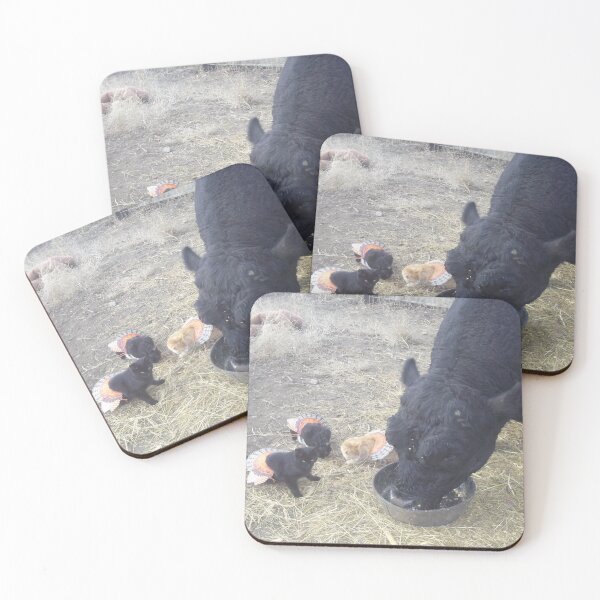 Item preview, Turkey for Lunch! designed and sold by JobieMom.