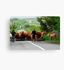 Rural Ireland Canvas Print