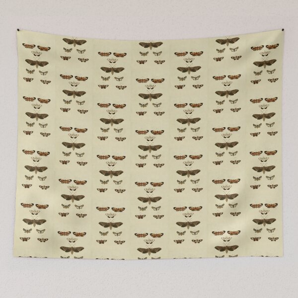 Item preview, Naturalist Moths designed and sold by BlueSpecsStudio.
