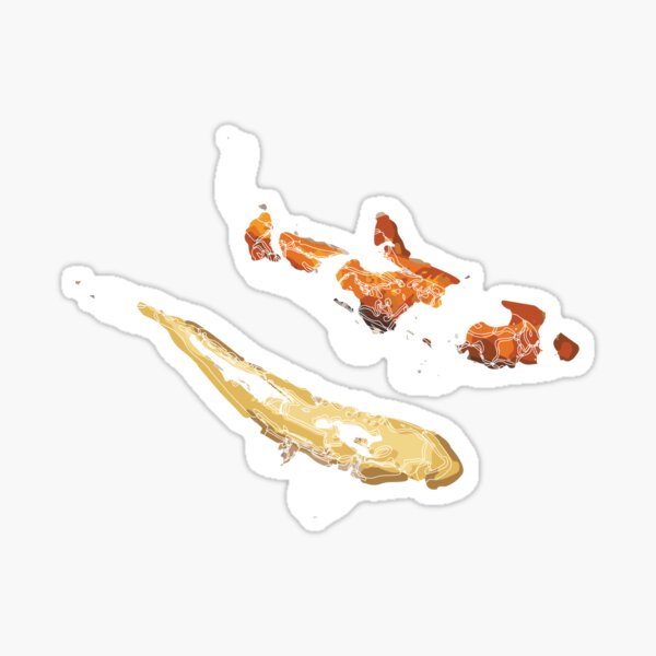 Koi Friends Sticker