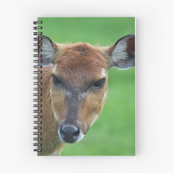 Item preview, Sitatunga designed and sold by Yampimon.