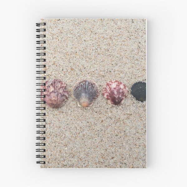 Item preview, Shells designed and sold by Robin Raible.