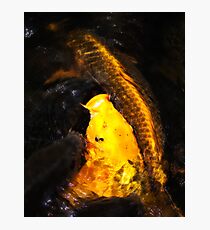 Natures Gold Photographic Print