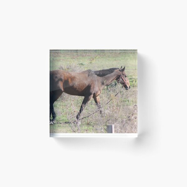 Item preview, Horsing around designed and sold by Robin Raible.