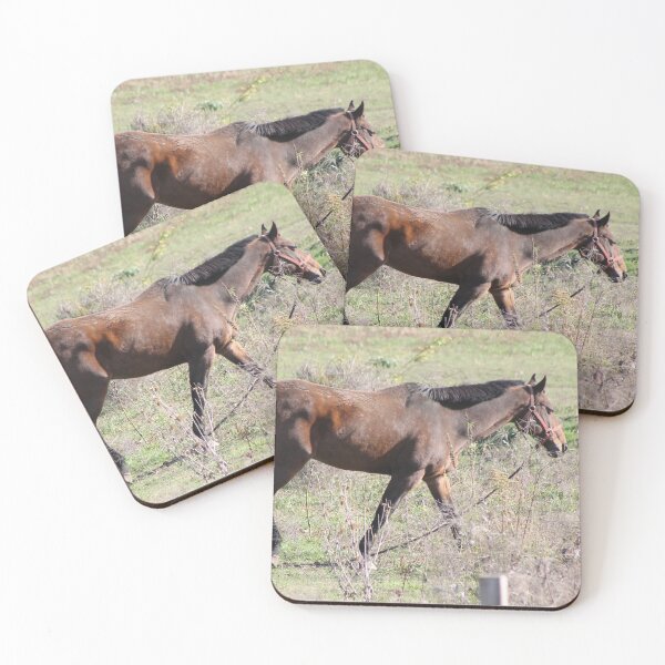Item preview, Horsing around designed and sold by Robin Raible.