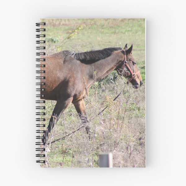 Item preview, Horsing around designed and sold by Robin Raible.