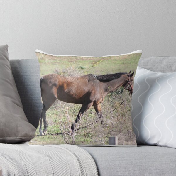 Item preview, Horsing around designed and sold by Robin Raible.