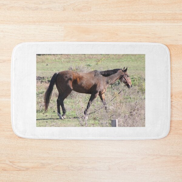 Item preview, Horsing around designed and sold by Robin Raible.