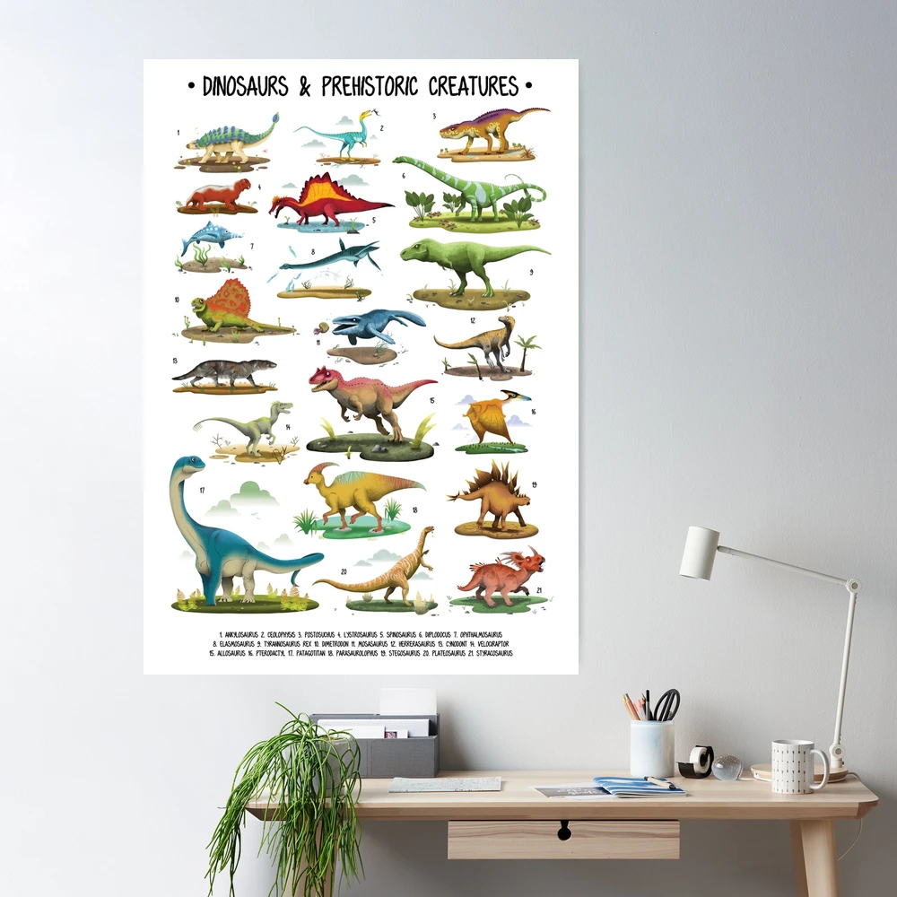 Kids Types Of Dinosaurs Dino Identification Poster