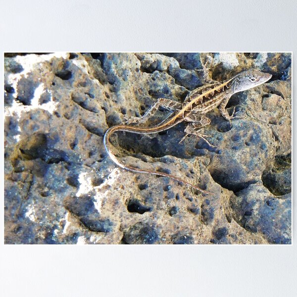 Item preview, Gecko on the Big Island designed and sold by Melissa Hamblin.