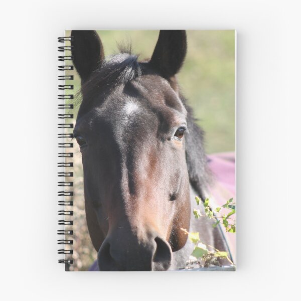 Item preview, Horsing Around designed and sold by Robin Raible.