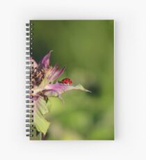The Little Lady Rest-stop Spiral Notebook
