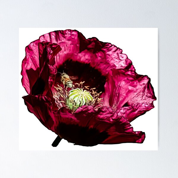 Aperçu de l'œuvre Abeille et coquelicot créée et vendue par eedly.