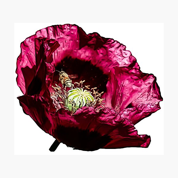 Item preview, Abeja y amapola designed and sold by eedly.