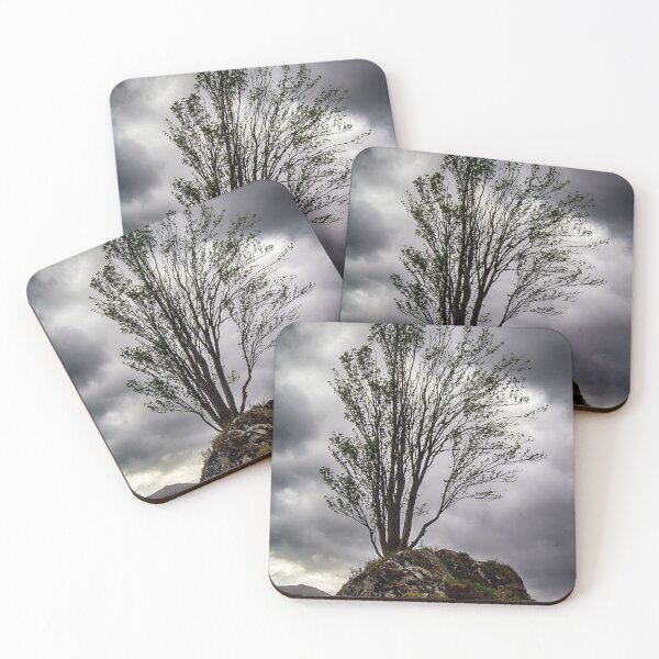 Item preview, Tree Growing in Rock designed and sold by Marylou Badeaux.