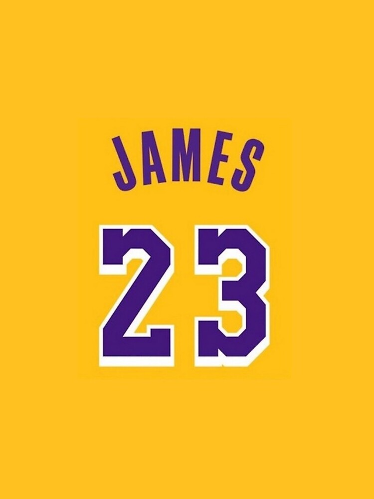 Lebron James Lakers