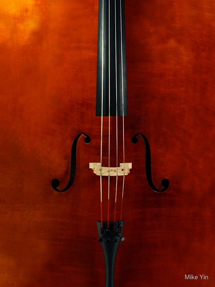 The Stringed Instrument by ArtisticCalm