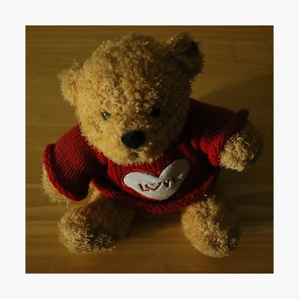 Teddy Bear of Love Photographic Print