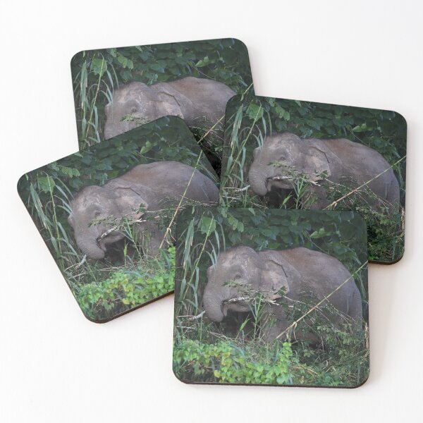 Item preview, Not All Those Who Wander Are Lost designed and sold by mlorenz.