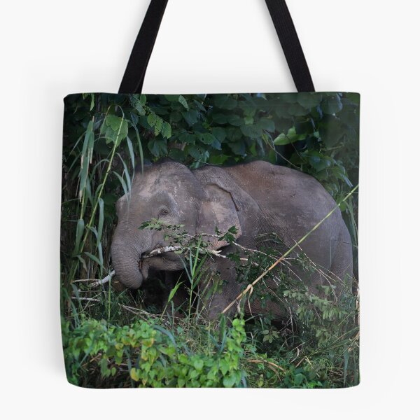 Item preview, Not All Those Who Wander Are Lost designed and sold by mlorenz.