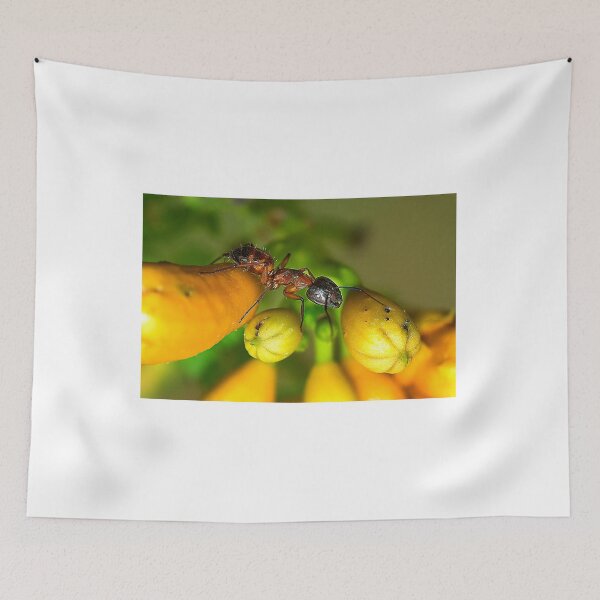 Item preview, A Tail of Two Colors designed and sold by Brenda Burnett.