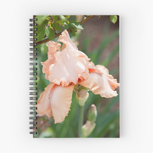 Item preview, Everything Is Peachy designed and sold by Sherry Hallemeier.