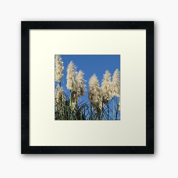 Item preview, Pampas Grass Display designed and sold by Honey Myrtle Studio.