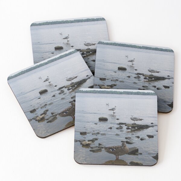 Item preview, Album Drop designed and sold by wickedmommicked.