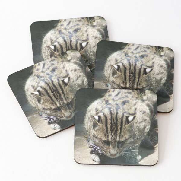 Item preview, Concentration  designed and sold by wickedmommicked.