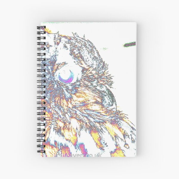 Le Owl Spiral Notebook