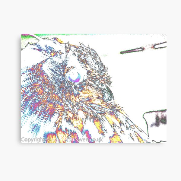 Le Owl Canvas Print